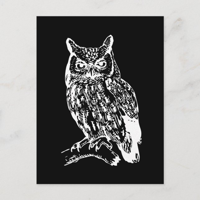 Schwarz-Weiß-Owl-Design Postkarte (Vorderseite)