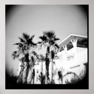 Schwarz-Weiß-Palme Poster