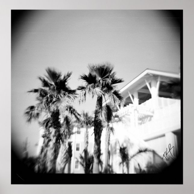 Schwarz-Weiß-Palme Poster (Vorne)