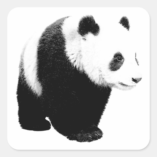 Schwarz/Weiß Panda Quadratischer Aufkleber (Vorderseite)