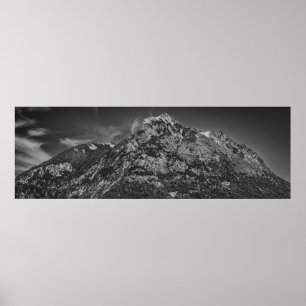 Schwarz-Weiß-Park nahuel huapi Landschaft Poster