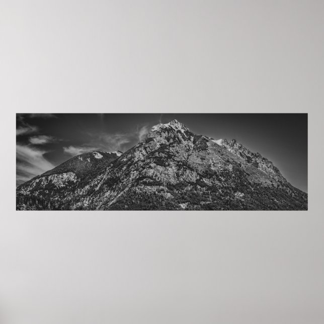 Schwarz-Weiß-Park nahuel huapi Landschaft Poster (Vorne)