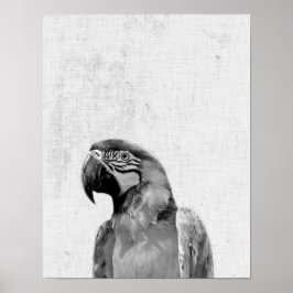 Schwarz-Weiß-Peekaboo Parrot Minimalistisches Kind Poster