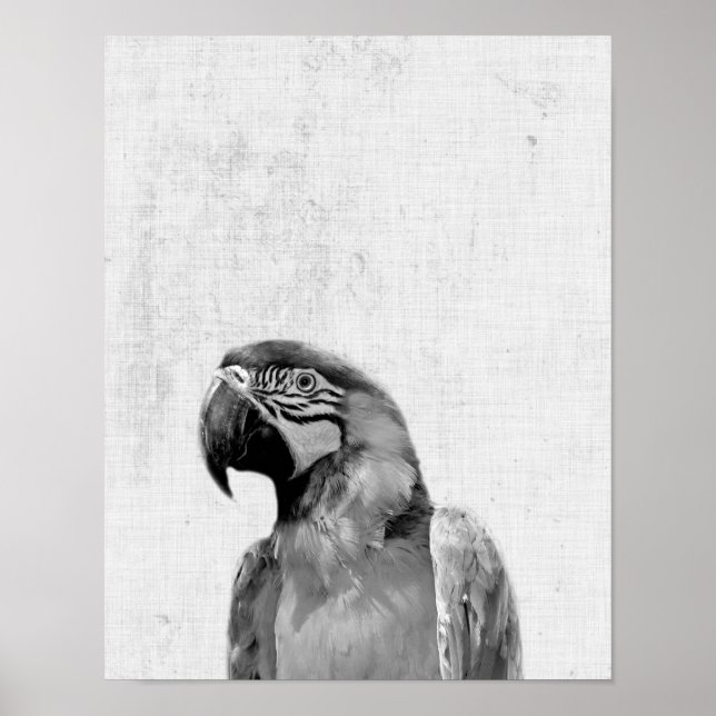 Schwarz-Weiß-Peekaboo Parrot Minimalistisches Kind Poster (Vorne)
