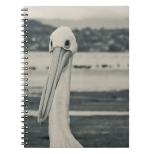 Schwarz-Weiß-Pelican-Foto Notizblock