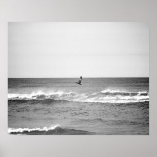 Schwarz-Weiß-Pelikan-Flug über den Ozean 16x20 Poster