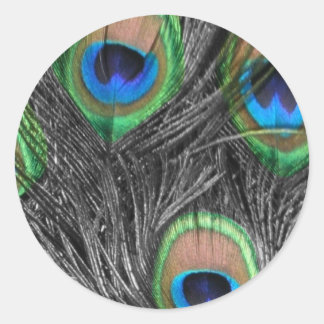 Schwarz-Weiß-Pfauenfeder Runder Aufkleber