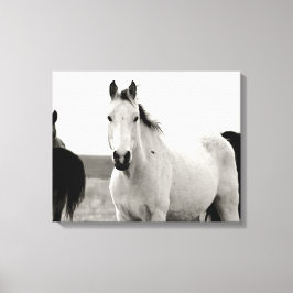 Schwarz-Weiß-Pferd in den Flint Hills Leinwanddruck