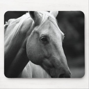 Schwarz Weiß Pferd Mousepad