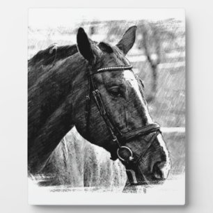 Schwarz Weiß Pferd Skizze Fotoplatte