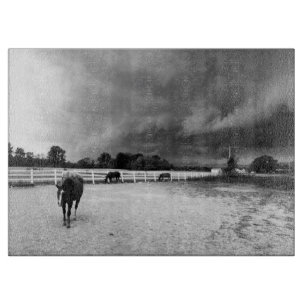 Schwarz-Weiß-Pferde Schneidebrett