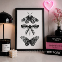 Schwarz-Weiß-Plakat Schmetterling Libelle & Nachtf
