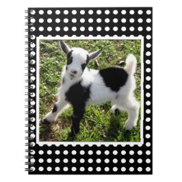 Schwarz-Weiß-Polka Dot Nigerian-Zwergziege-Kind Notizblock