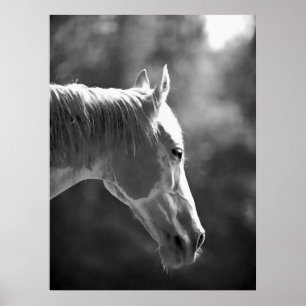 Schwarz-Weiß-Pop Kunstpferde drucken Poster