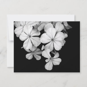 Schwarz-Weiß-Postkarte