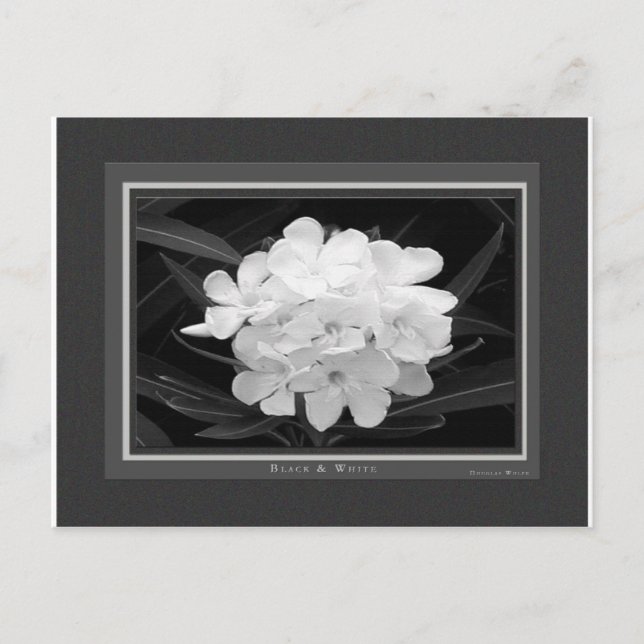 Schwarz/Weiß Postkarte (Vorderseite)
