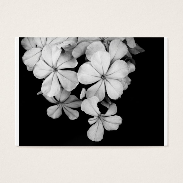 Schwarz-Weiß-Postkartendesign (Vorderseite)