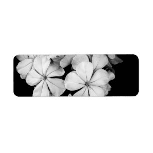 Schwarz-Weiß-Postkartendesign