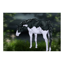 Schwarz-Weiß-Rahmen Overo Paint Horse