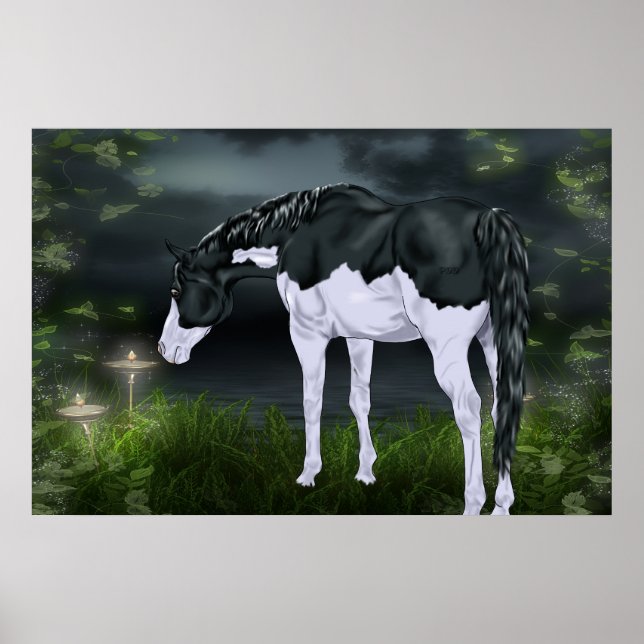 Schwarz-Weiß-Rahmen Overo Paint Horse Poster (Vorne)