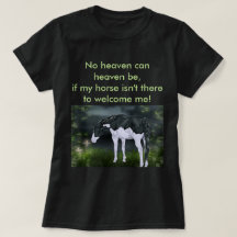 Schwarz-Weiß-Rahmen Overo Paint Horse