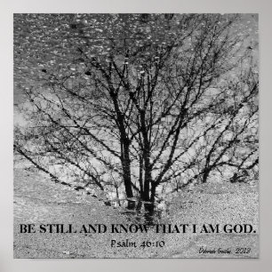 Schwarz-Weiß-Reflexion Poster