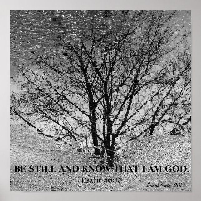 Schwarz-Weiß-Reflexion Poster (Vorne)