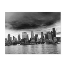 Schwarz-Weiß-Rinder