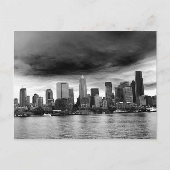 Schwarz-Weiß-Rinder Postkarte (Vorderseite)