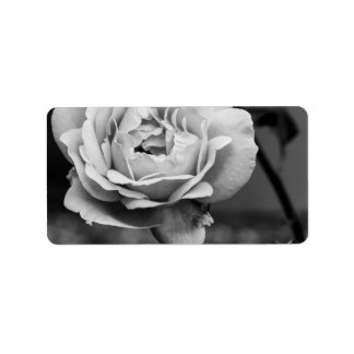 Schwarz-Weiß-Romantische Rose Adressaufkleber