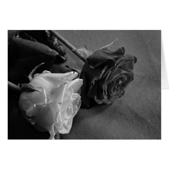 Schwarz-Weiß-Rose (Vorderseite (Horizontal))
