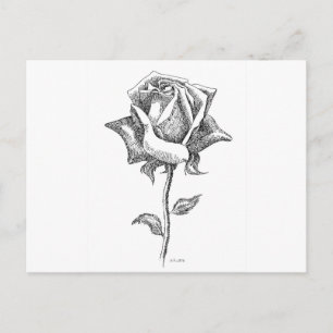 Schwarz-Weiß-Rose Postkarte