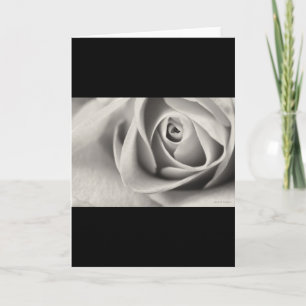 Schwarz-Weiß-Rose, Schreibwaren, Vorlage