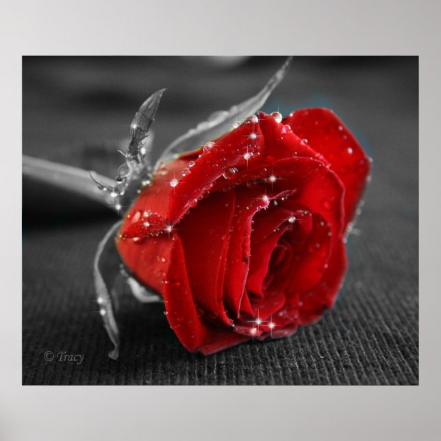 Schwarz/weiß/rot Poster (Vorne)