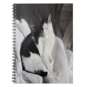 Schwarz-weiß schlafende Katze/Fügen Sie das Foto I Notizblock