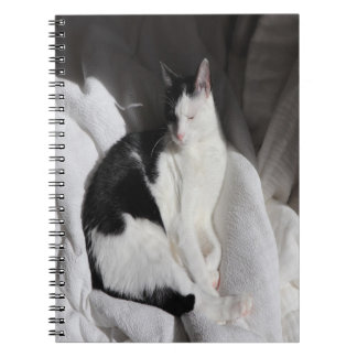 Schwarz-weiß schlafende Katze/Fügen Sie das Foto I Notizblock