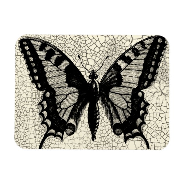 Schwarz-Weiß-Schmetterling im Hintergrund Magnet (Horizontal)