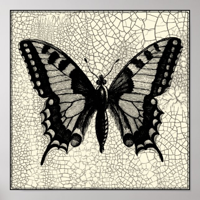 Schwarz-Weiß-Schmetterling im Hintergrund Poster (Vorne)