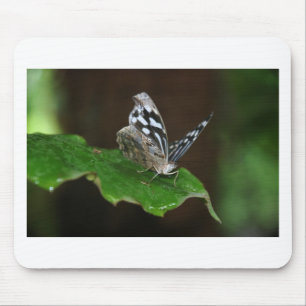 Schwarz-Weiß-Schmetterling Mousepad