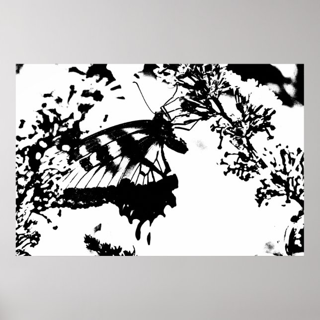 Schwarz-Weiß-Schmetterling-Poster Poster (Vorne)