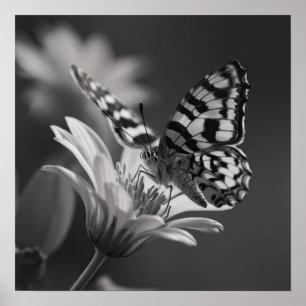 Schwarz-Weiß-Schmetterling und Blume Poster