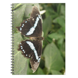 Schwarz-Weiß-SchmetterlingsNotebook Notizblock