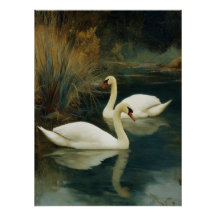 Schwarz-Weiß-Schwan-Paarplakat