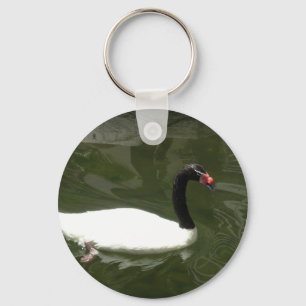 Schwarz-Weiß-Schwan Schlüsselanhänger