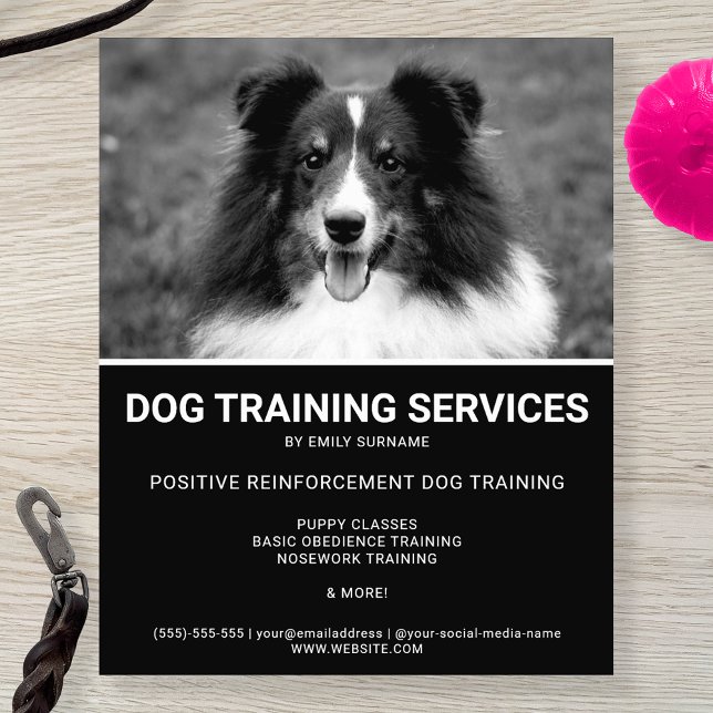 Schwarz-Weiß Shetland Sheepdog Foto Dog Trainer Flyer (Von Creator hochgeladen)