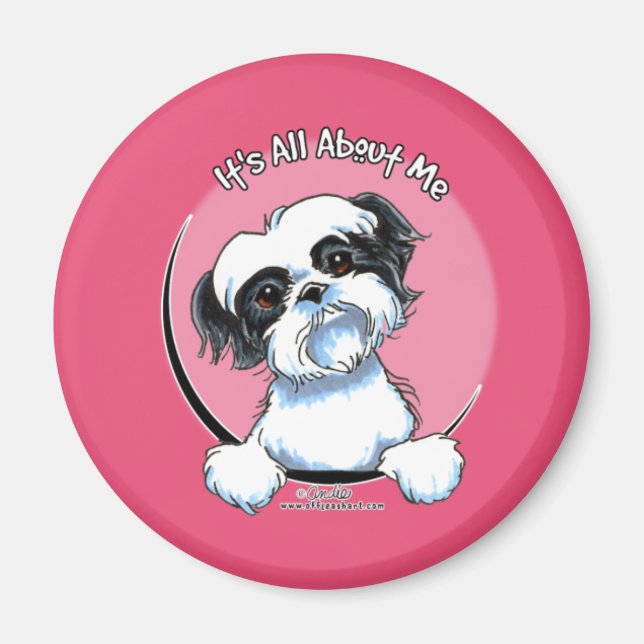 Schwarz/Weiß Shih Tzu IAAM Magnet (Vorne)