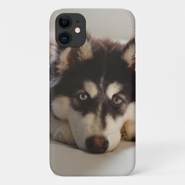Schwarz-Weiß-sibirischer Husky Case-Mate iPhone Hülle (Rückseite)