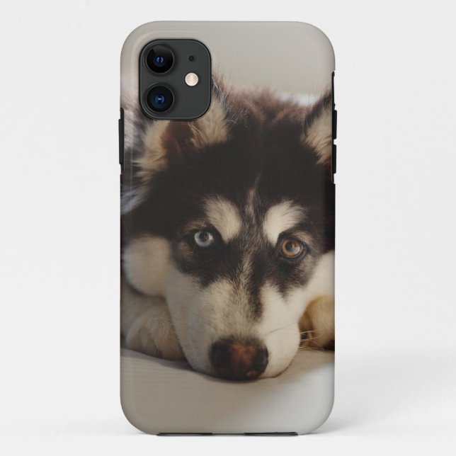 Schwarz-Weiß-sibirischer Husky Case-Mate iPhone Hülle (Rückseite)
