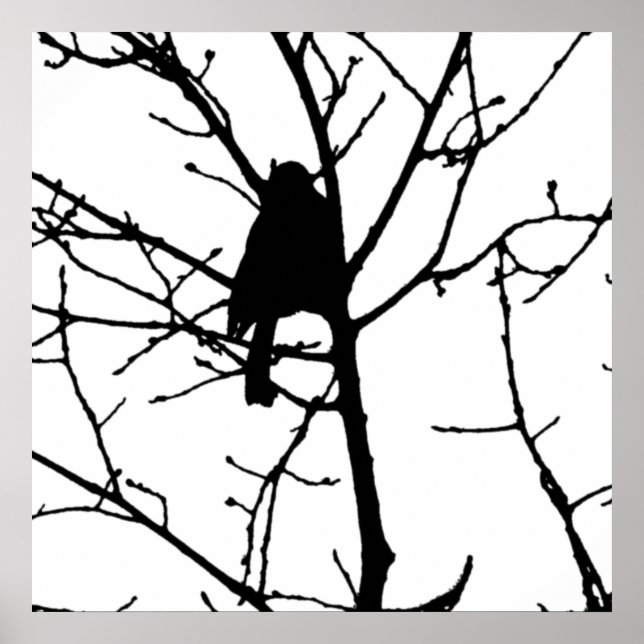 Schwarz-Weiß-Silhouette der Kiche in einem Baum Poster (Vorne)