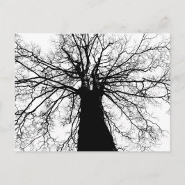 Schwarz-Weiß-Silhouette - Postkarte